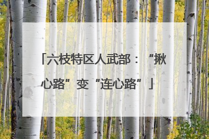 六枝特区人武部：“揪心路”变“连心路”