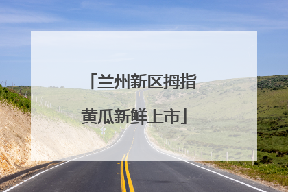 兰州新区拇指黄瓜新鲜上市