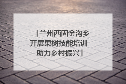 兰州西固金沟乡开展果树技能培训 助力乡村振兴