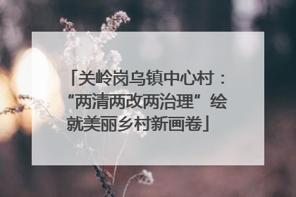 关岭岗乌镇中心村：“两清两改两治理”绘就美丽乡村新画卷