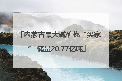 内蒙古最大碱矿找“买家” 储量20.77亿吨