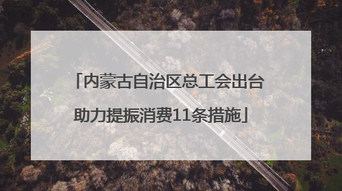内蒙古自治区总工会出台助力提振消费11条措施