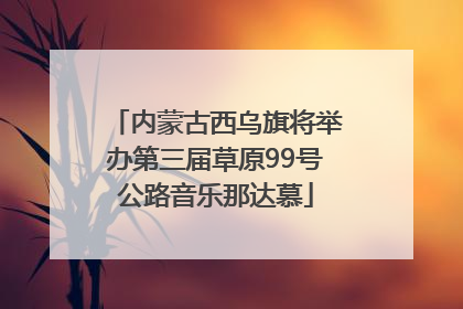 内蒙古西乌旗将举办第三届草原99号公路音乐那达慕