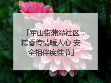 军山街蒲潭社区：粽香传情暖人心 安全相伴度佳节