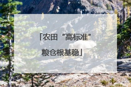农田“高标准” 粮仓根基稳