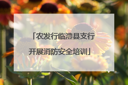 农发行临澧县支行开展消防安全培训