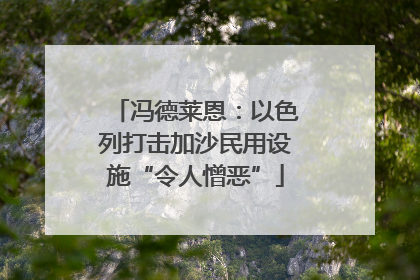 冯德莱恩：以色列打击加沙民用设施“令人憎恶”