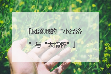 凤溪地的“小经济”与“大情怀”