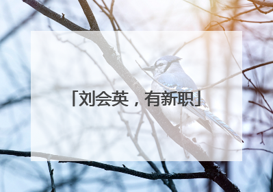 刘会英，有新职
