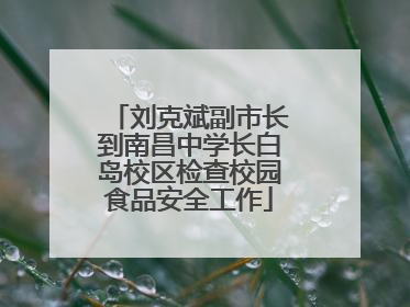 刘克斌副市长到南昌中学长白岛校区检查校园食品安全工作