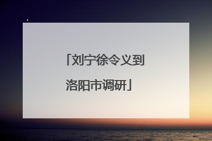 刘宁徐令义到洛阳市调研