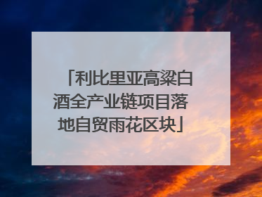 利比里亚高粱白酒全产业链项目落地自贸雨花区块