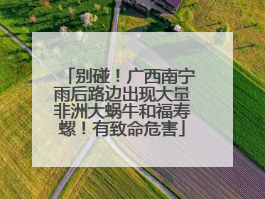别碰！广西南宁雨后路边出现大量非洲大蜗牛和福寿螺！有致命危害