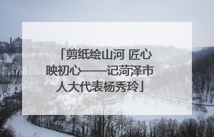 剪纸绘山河 匠心映初心——记菏泽市人大代表杨秀玲