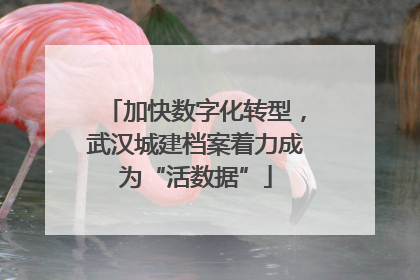 加快数字化转型，武汉城建档案着力成为“活数据”