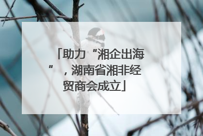 助力“湘企出海”，湖南省湘非经贸商会成立