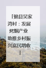 勉县吴家湾村：发展烤烟产业 助推乡村振兴富民增收