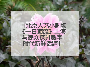 北京人艺小剧场《一日顶流》上演 与观众探讨数字时代新鲜话题