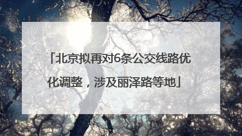 北京拟再对6条公交线路优化调整，涉及丽泽路等地