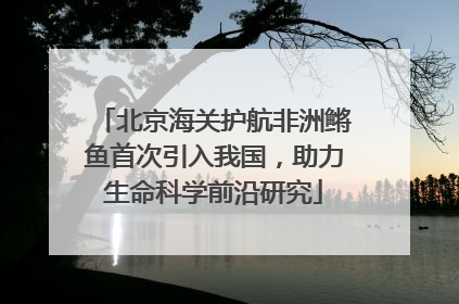 北京海关护航非洲鳉鱼首次引入我国，助力生命科学前沿研究
