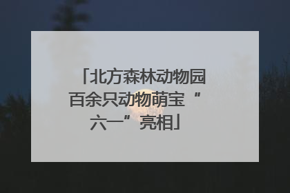 北方森林动物园百余只动物萌宝“六一”亮相