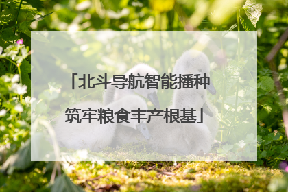 北斗导航智能播种 筑牢粮食丰产根基