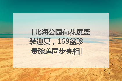 北海公园荷花展盛装迎夏，169盆珍贵碗莲同步亮相