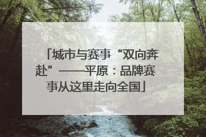 城市与赛事“双向奔赴”——平原：品牌赛事从这里走向全国