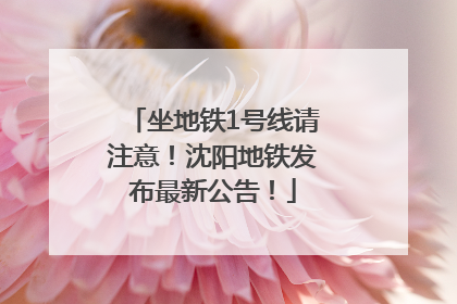 坐地铁1号线请注意！沈阳地铁发布最新公告！