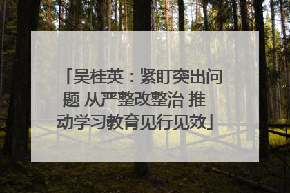 吴桂英：紧盯突出问题 从严整改整治 推动学习教育见行见效