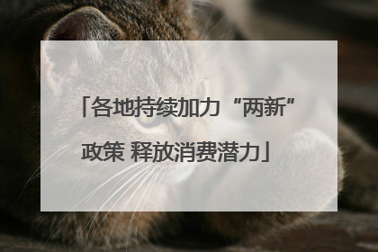 各地持续加力“两新”政策 释放消费潜力