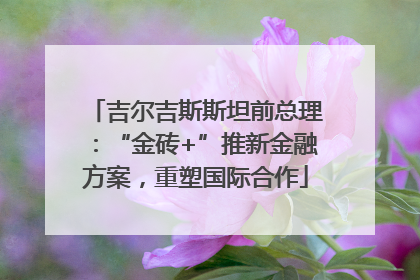 吉尔吉斯斯坦前总理：“金砖+”推新金融方案，重塑国际合作