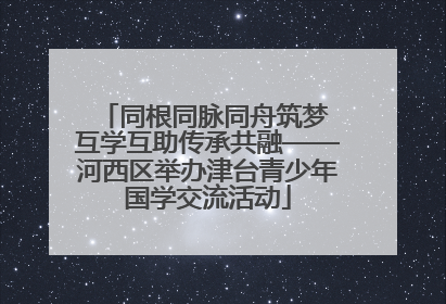 同根同脉同舟筑梦 互学互助传承共融——河西区举办津台青少年国学交流活动