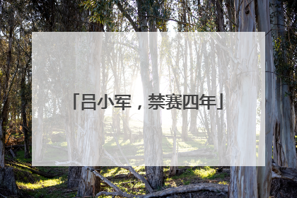 吕小军，禁赛四年