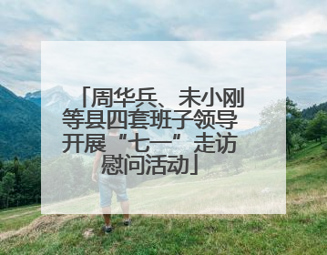 周华兵、未小刚等县四套班子领导开展“七一”走访慰问活动