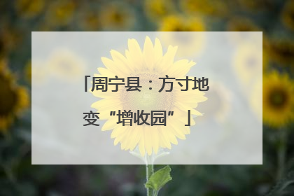 周宁县：方寸地变“增收园”