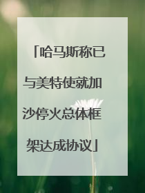 哈马斯称已与美特使就加沙停火总体框架达成协议