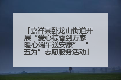 嘉祥县卧龙山街道开展“爱心粽香到万家 暖心端午送安康” “五为”志愿服务活动