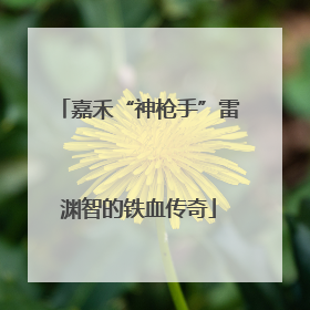 嘉禾“神枪手”雷渊智的铁血传奇