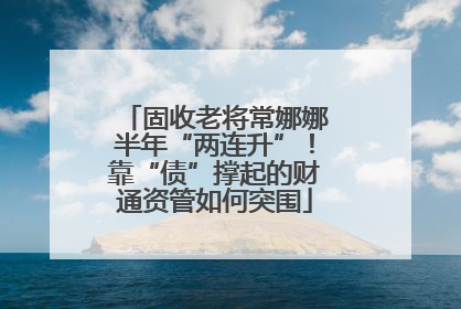固收老将常娜娜半年“两连升”！靠“债”撑起的财通资管如何突围