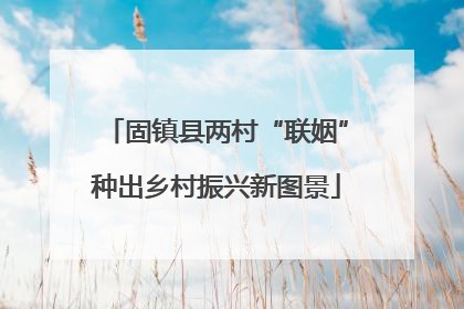 固镇县两村“联姻”种出乡村振兴新图景