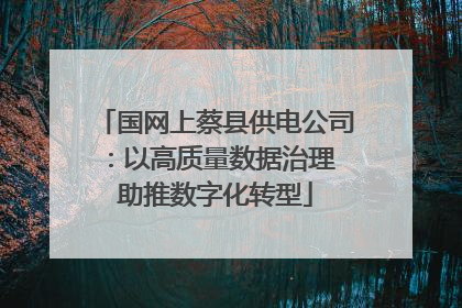 国网上蔡县供电公司：以高质量数据治理 助推数字化转型