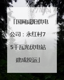 国网咸阳供电公司：永红村75千瓦光伏电站建成投运