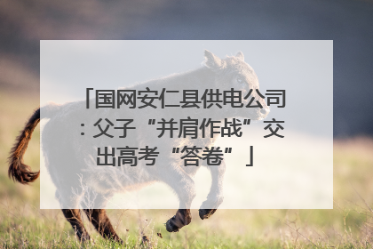 国网安仁县供电公司：父子“并肩作战”交出高考“答卷”