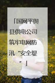 国网平舆县供电公司筑牢电网防汛“安全堤”