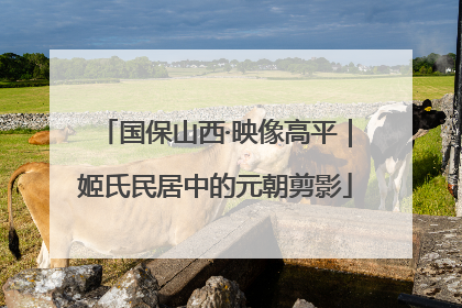 国保山西·映像高平｜姬氏民居中的元朝剪影