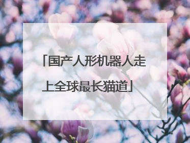 国产人形机器人走上全球最长猫道