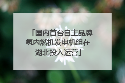 国内首台自主品牌氢内燃机发电机组在湖北投入运营