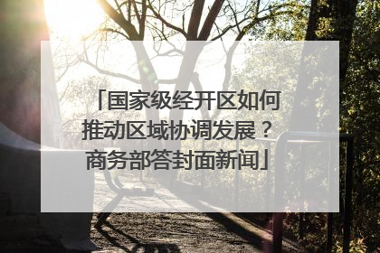 国家级经开区如何推动区域协调发展？商务部答封面新闻