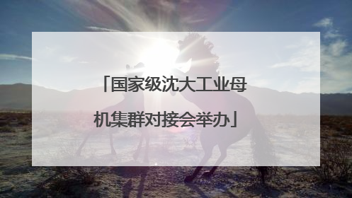 国家级沈大工业母机集群对接会举办